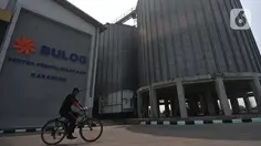 Hama Masuk ke Permukiman, Bulog Fumigasi Gudang Beras