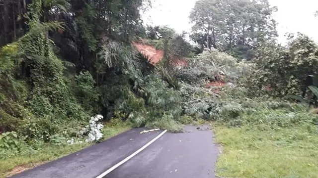 Banjir dan Longsor di Flores