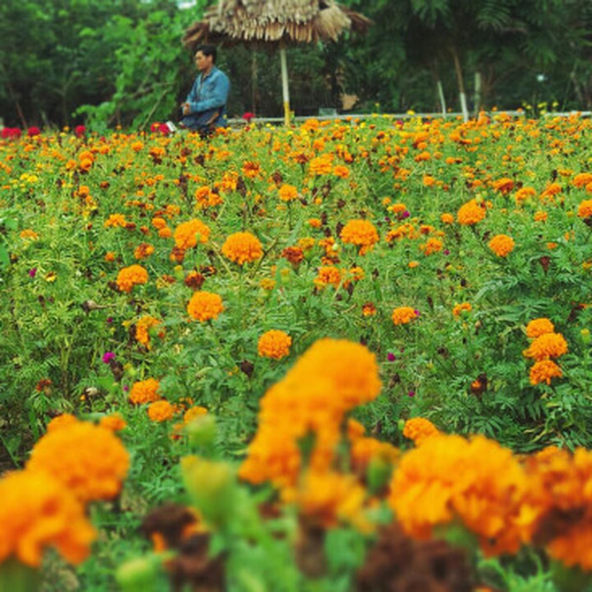 Alamat Taman Wisata Okura Pekanbaru