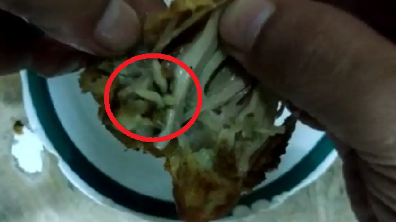 Belatung pada Makanan