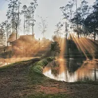 Rancaupas, Ciwidey, Bandung, Jawa Barat. (Sumber Foto: kemal.prawira/Instagram)