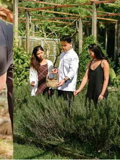 Restoran peraih Michelin Green Star di Phuket, JAMPA, Hadirkan Pengalaman Farm-To-Table dan Sustainable Dining. Dok. JAMPA