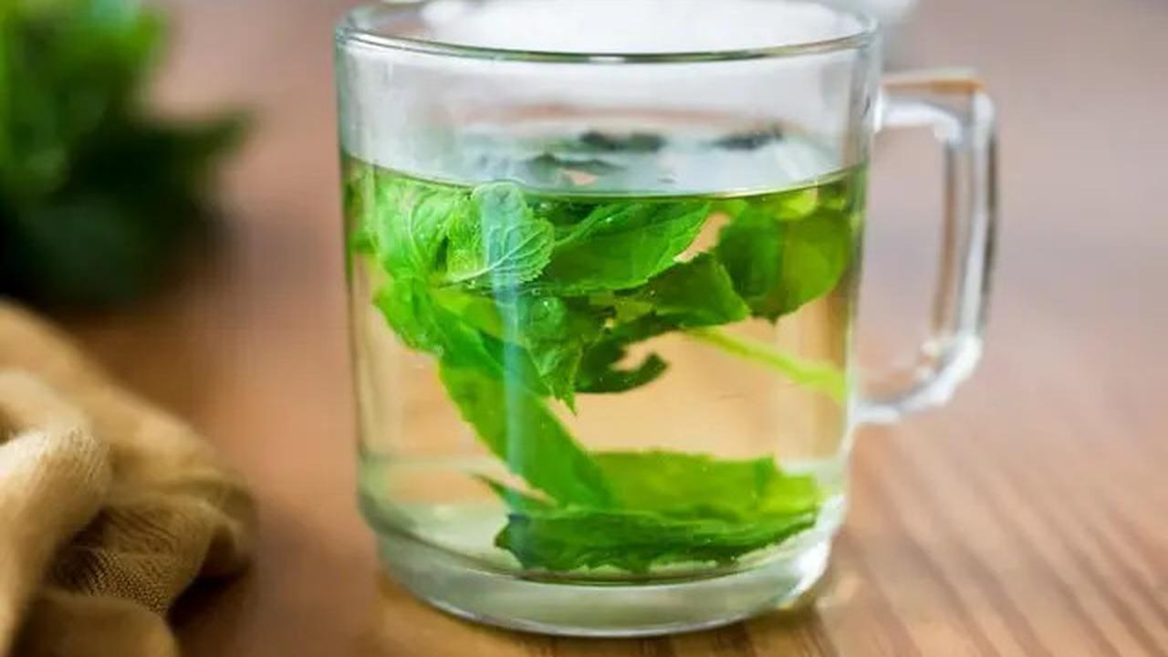 Manfaat Rebusan Daun Kersen Bahan Alami untuk Kolesterol dan Darah Tinggi