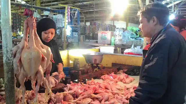 Pedaging ayam. ©2015 Merdeka.com/andrian salam