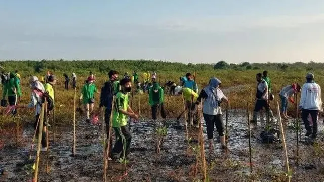 Penanaman Mangrove di Pantai Permata Kota Probolinggo untuk cegah perubahan iklim (Istimewa)