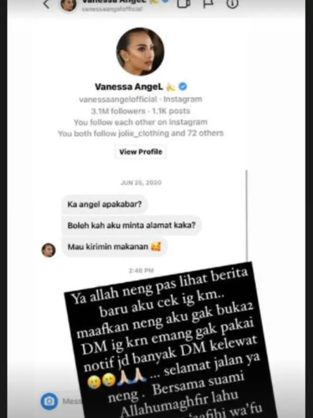 Angel Lelga Baru tahu Vanessa Angel Pernah Tulis Pesan di Direct Message  Instagramnya