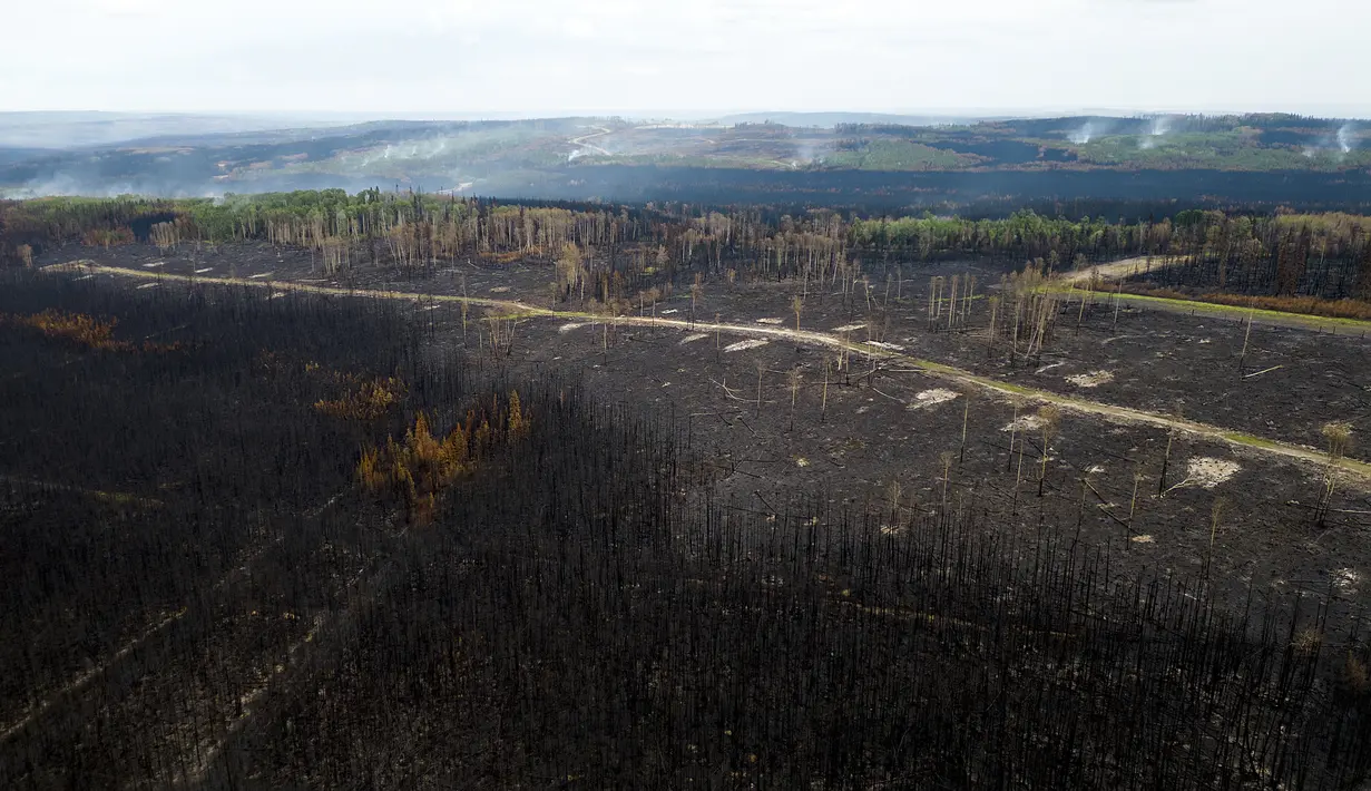 Kebakaran Donnie Creek membakar lebih dari 5.715 kilometer persegi pada 2 Juli, menurut B.C. Layanan Kebakaran. (AP Photo/Noah Berger)