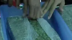 liputan6
