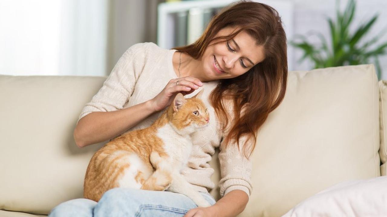 Tahukah Kamu Cara Kucing Ngomong Sama Manusia Beda Dengan Sesamanya