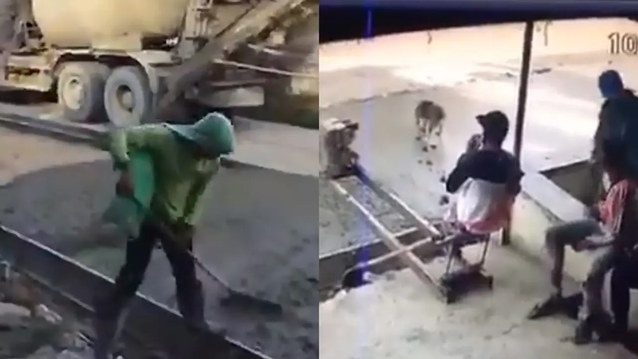 Video Kocak Cor Jalan Belum Kering, Malah Dirusak Berkali-kali ini Bikin Jengkel