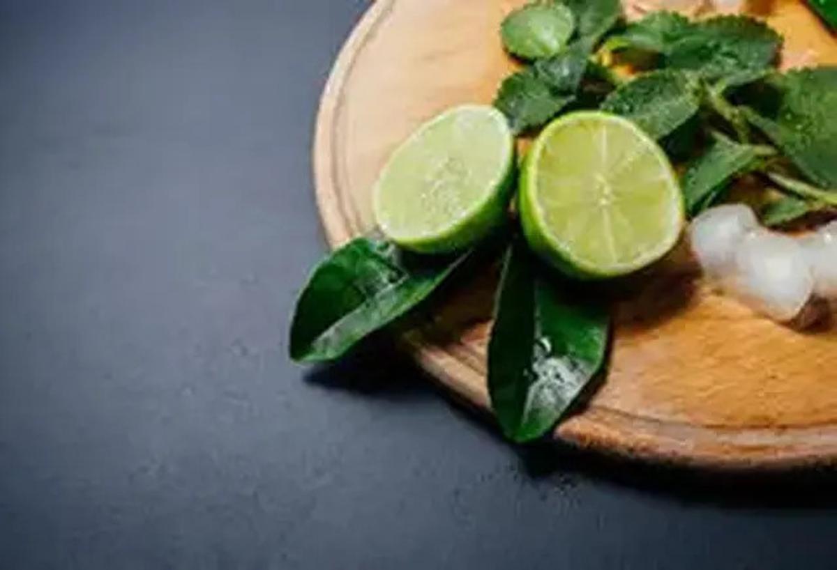 Cara Menyimpan Daun Jeruk Agar Awet 3 Bulan, Pelajari Metodenya