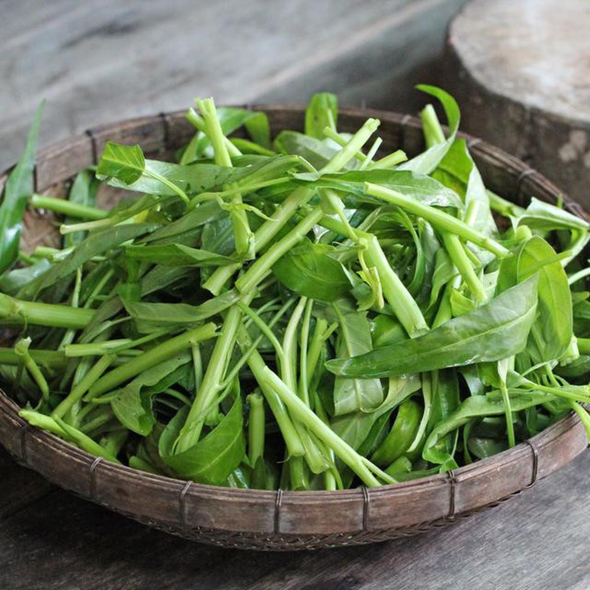 7 Tips agar Tanaman Kangkung Subur dan Cepat Dipanen untuk Musim Hujan