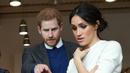 Pangeran Harry dan Meghan Markle melihat beberapa anggota tubuh buatan atau prostetik di Catalyst Inc, Belfast, Irlandia Utara, Jumat (23/3). Dalam kunjungannya, mereka juga menemui beberapa pengusaha muda Irlandia Utara. (Niall Carson/Pool via AP)