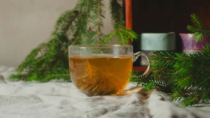 3 Jenis Empon-Empon yang Ampuh Redakan Sakit Tenggorokan