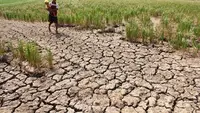 Indonesia Masuk Daftar Negara Rentan Ancaman Super El Nino Picu Inflasi Global