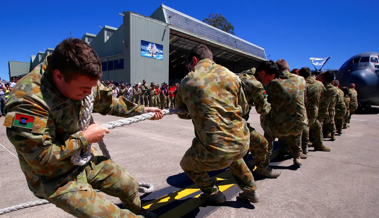 Anggota Angkatan Darat Australia menarik sebuah pesawat C-130J Hercules seberat 40 ton lebih dari jarak sepuluh meter di Royal Australian Air Force (RAAF) Base di Richmond, Australia, Kamis (24/11). (REUTERS / David Gray)