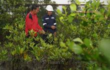 PT Timah Tanam 1.400 Pohon Buah, Perkuat Komitmen Pelestarian Lingkungan dan Ekonomi Masyarakat