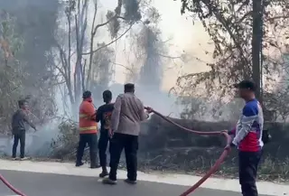 Kebakaran melanda kawasan hutan Taman Nasional Bukit Barisan Selatan (TNBBS). (Liputan6.com/Istimewa).