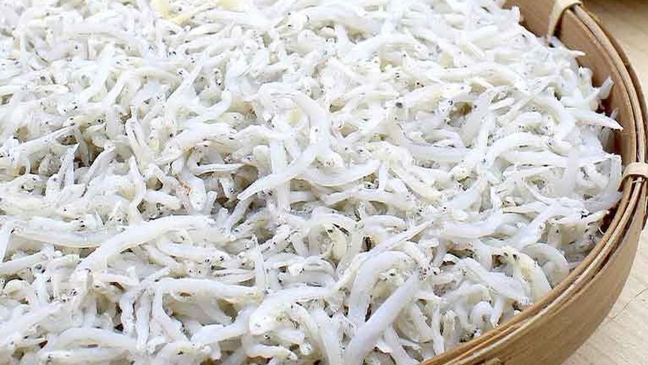 3. Ikan Teri