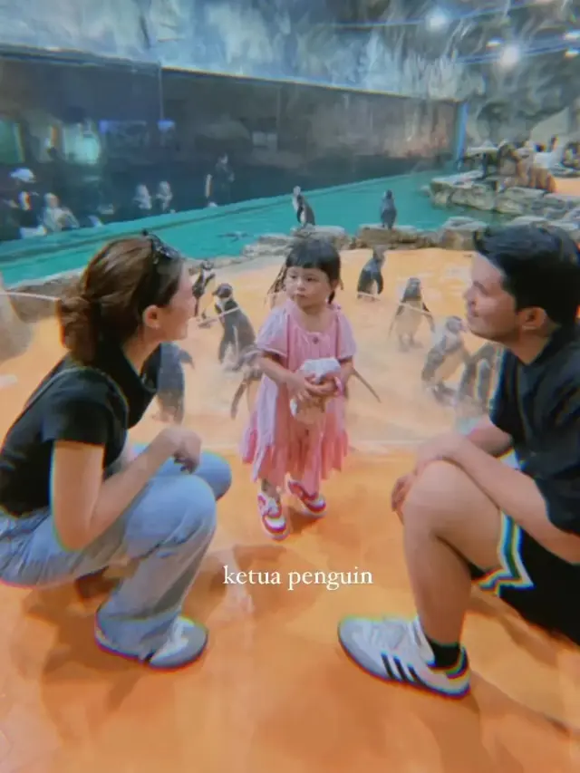 6 Potret Tampilan Aaliyah Massaid saat Momong Ameena-Azura, Dipuji Aura Keibuan Terpancar