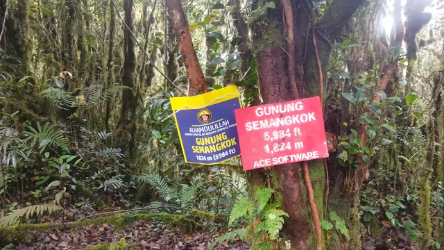 Gunung Semangkok. (Dok: Dan Quinn, Juli 2023 https://www.gunungbagging.com/semangkok/nggallery/page/3)