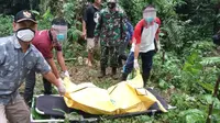 Petugas mengevakuasi korban serangan celeng alias babi hutan di Majenang, Cilacap. (Foto: Liputan6.com/Hary Adin)
