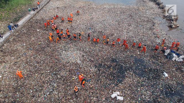 Bersihkan Tumpukan Sampah di Hutan Mangrove
