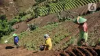 Aktivitas petani bawang merah di lahan pertanian berkonsep terasering, Desa Sukasari Kidul, Kecamatan Argapura, Majalengka, Jawa Barat, Sabtu (29/1/2022). Kecamatan Argapura sebagai sentra pertanian bawang merah di Majalengka juga menawarkan keindahan konsep terasering. (merdeka.com/Iqbal S Nugroho)