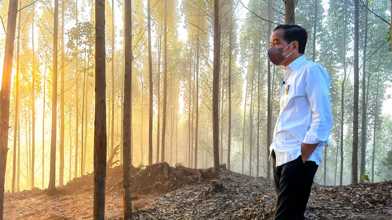 Saat Jokowi Berkemah di Sekitar Titik Nol IKN
