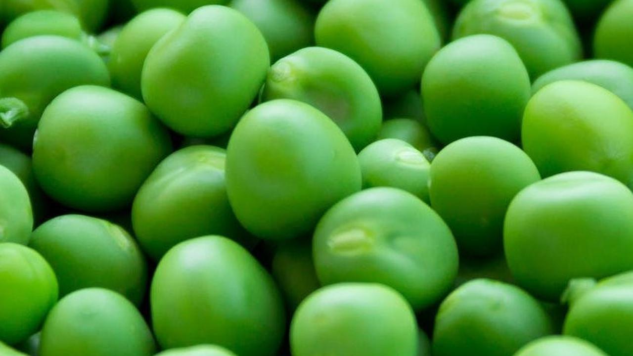 7. Kacang-Kacangan