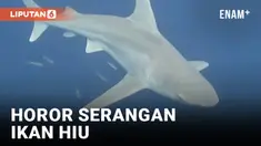 Setiap tahun di AS, puluhan orang menjadi korban serangan hiu, umumnya saat libur sekolah pada pertengahan tahun. Insiden seperti ini tadinya terbatas ke wilayah-wilayah relatif hangat, tapi belakangan kehadiran hiu juga memunculkan kekhawatiran di b...