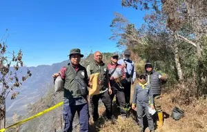 Kemenhut Terjunkan Ahli untuk Usut Pidana Kebakaran Bromo