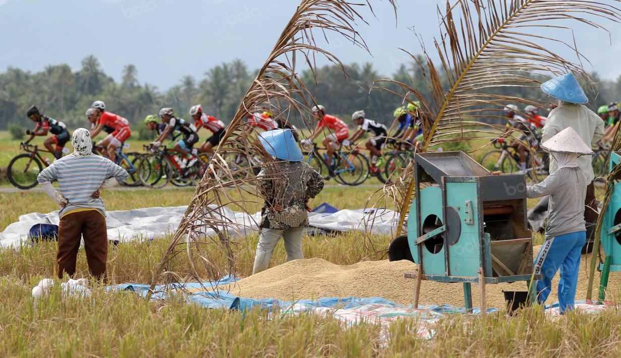 Petani berhenti menjemur gabah untuk menonton balapan Tour de Singkarak 2016 pada Etape 6 dari Padang Pariaman menuju Sawahlunto, Sumatera Barat, Kamis (11/8/2016). (Bola.com/Nicklas Hanoatubun)