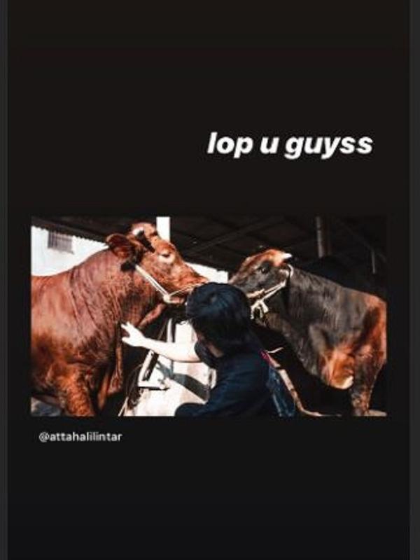 Atta Halilintar (Foto: Instagram/@attahalilintar)