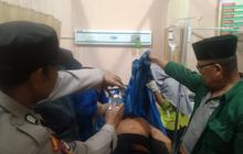 Tahukah Anda? Harimau Sumatera Terkam Petani di Lampung Barat, Warga Diminta Waspada
