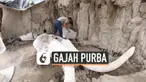 Antropolog Meksiko menemukan sejumlah mamut atau gajah purba yang diduga usianya lebih dari 15 ribu tahu.Mamut terjebak dalam sebuah lubang besar.