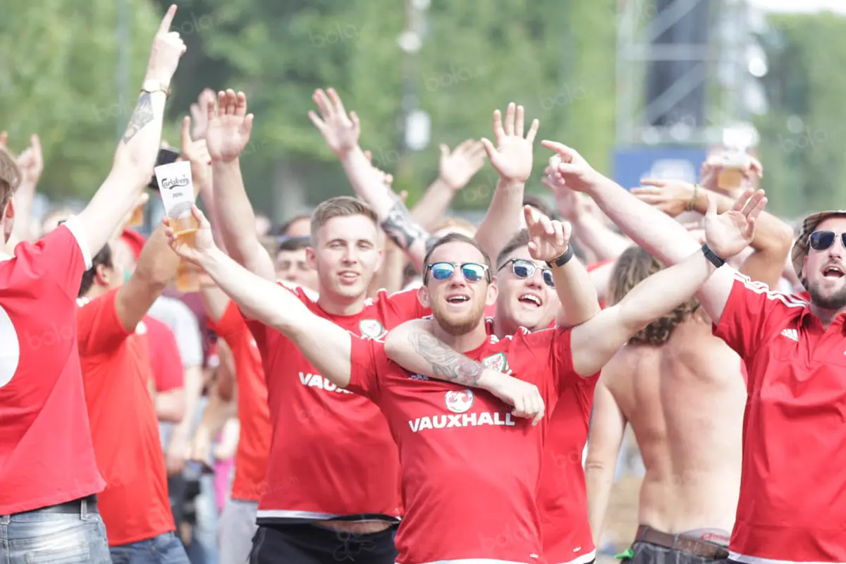 Suporter Wales