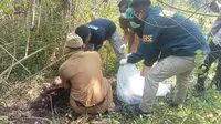 Misteri Kerangka Manusia di Kebun Jati Sukabumi Akhirnya Terungkap
