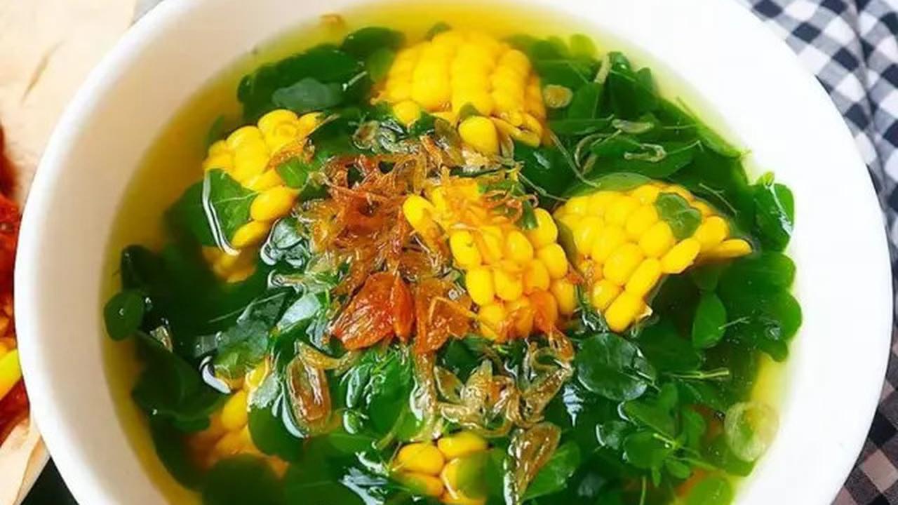 15 Manfaat Teh Daun Kelor, Rahasia Kesehatan dari 'Pohon Ajaib' untuk Tubuh Bugar