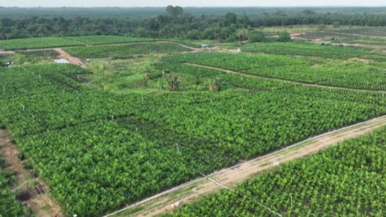 PTPN IV PalmCo dan Serikat Pekerja Perkuat Hubungan Industrial Pasca-Merger