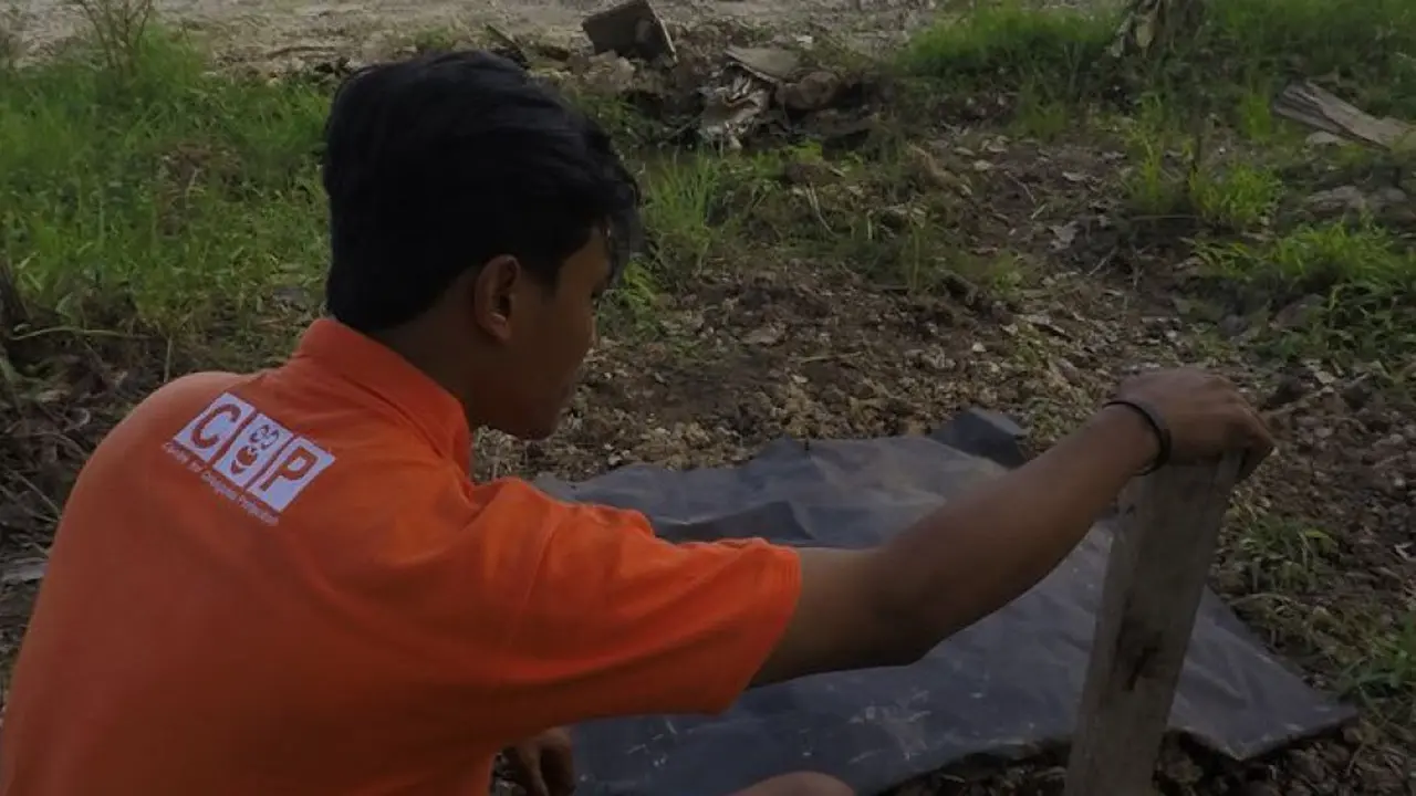 Bangkai orangutan ditemukan mengambang di sungai di Kalimantan