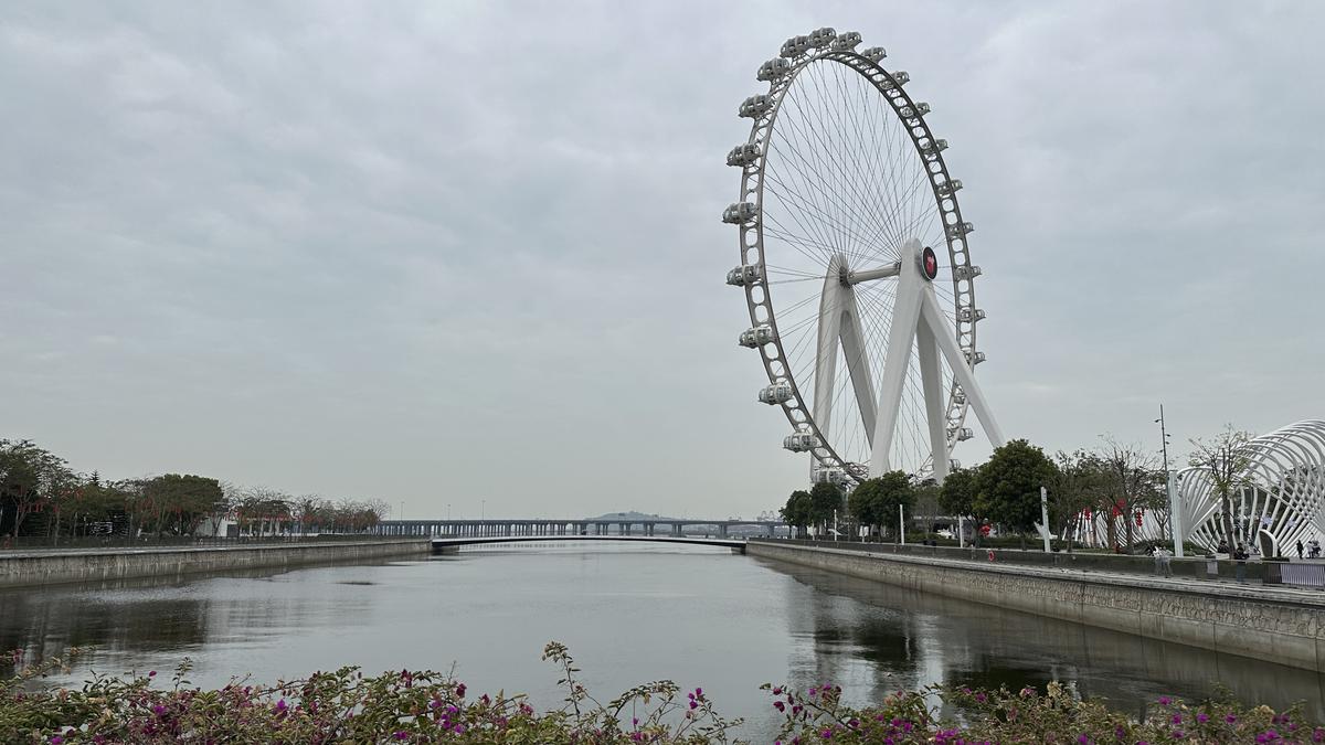 Happy Harbor Shenzhen: Oasis Ketenteraman di Tengah Kota yang Bergejolak
