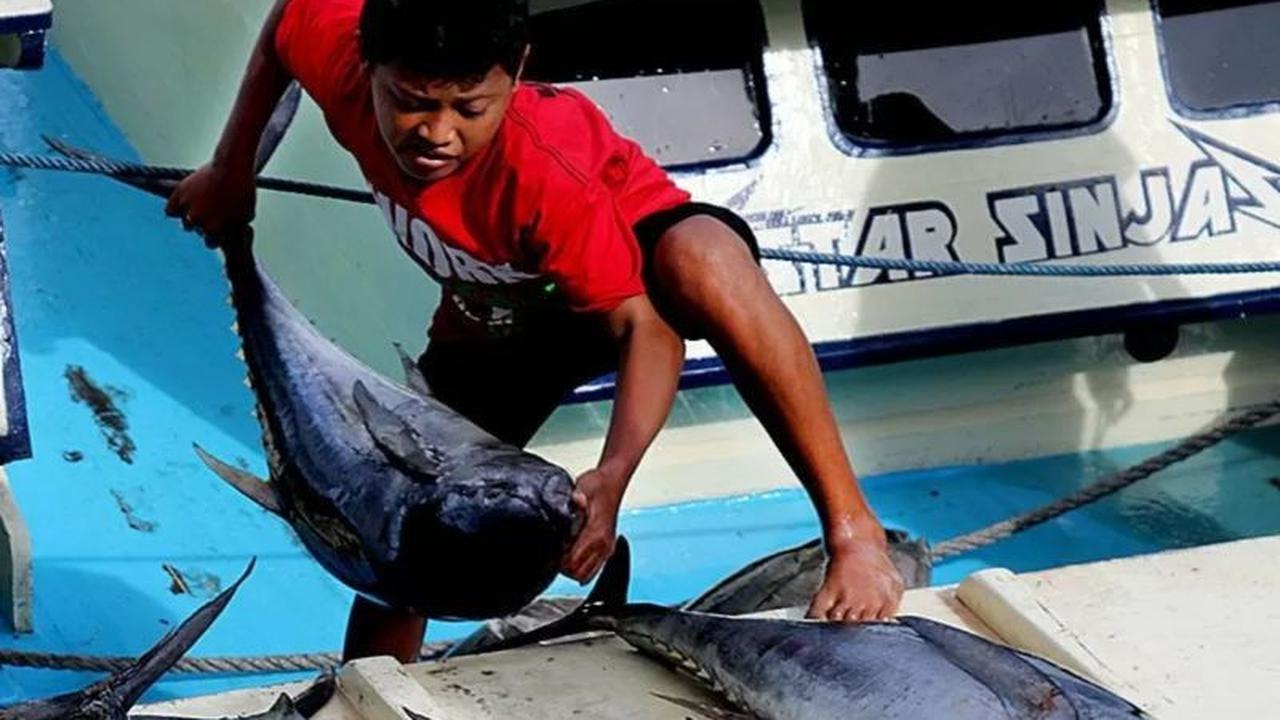 Komoditas Perikanan Pemicu Utama Deflasi Maluku Maret 2026