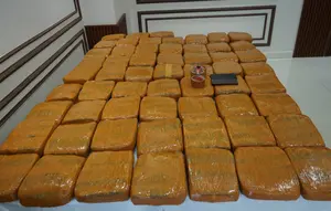 Polisi Bongkar 3 Karung di Petamburan, Isinya 62,5 Kg Ganja
