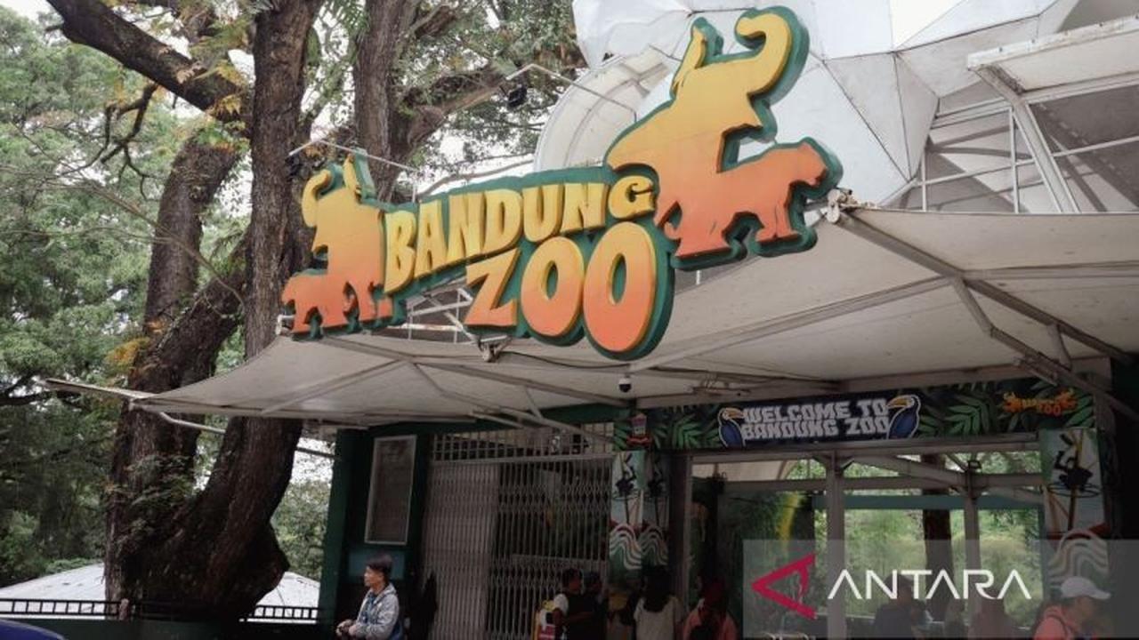 Mengapa Ikon Wisata Bandung Zoo Masih Buntu? DPRD Minta Pemkot Segera Bertindak