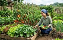 17 Tanaman yang Cocok Ditanam Saat Harga Sayur Naik, Hemat Belanja Dapur