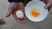 Unik, telur ini memiliki 5 kuning. (People's Daily Online)