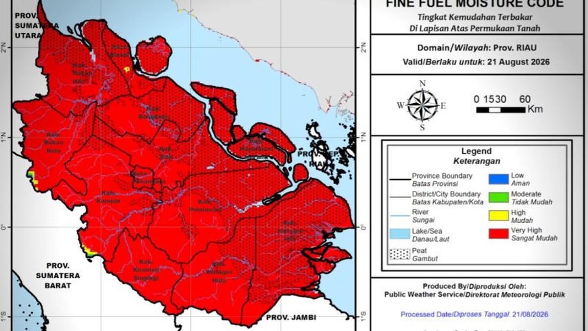 1.104 Titik Panas Kebakaran Hutan Terdeteksi di Sumatera, Sumsel Tertinggi