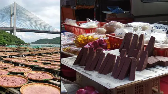 Foto: copyright openjourney.com