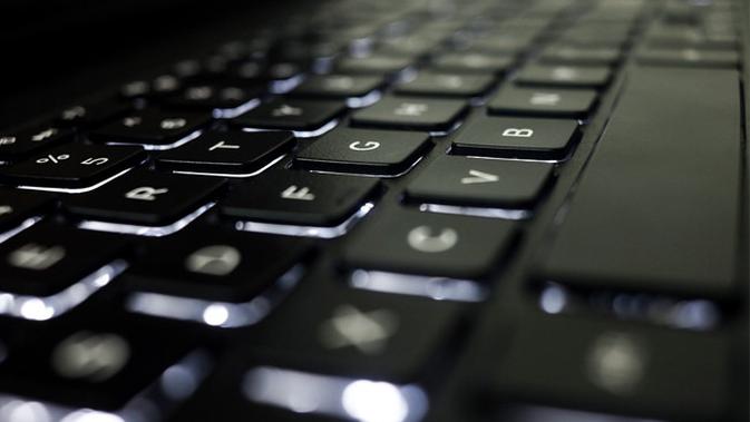 Ilustrasi keyboard (pixabay.com)
